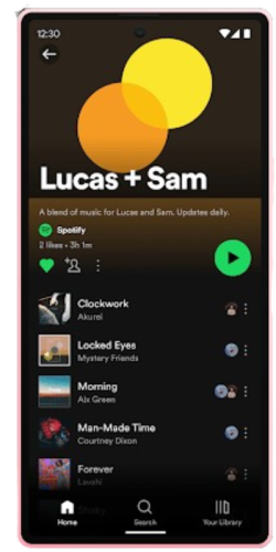 <span>Ad-Free Music Streaming</span>
