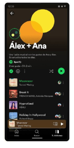 <span>Offline Music Downloads</span>